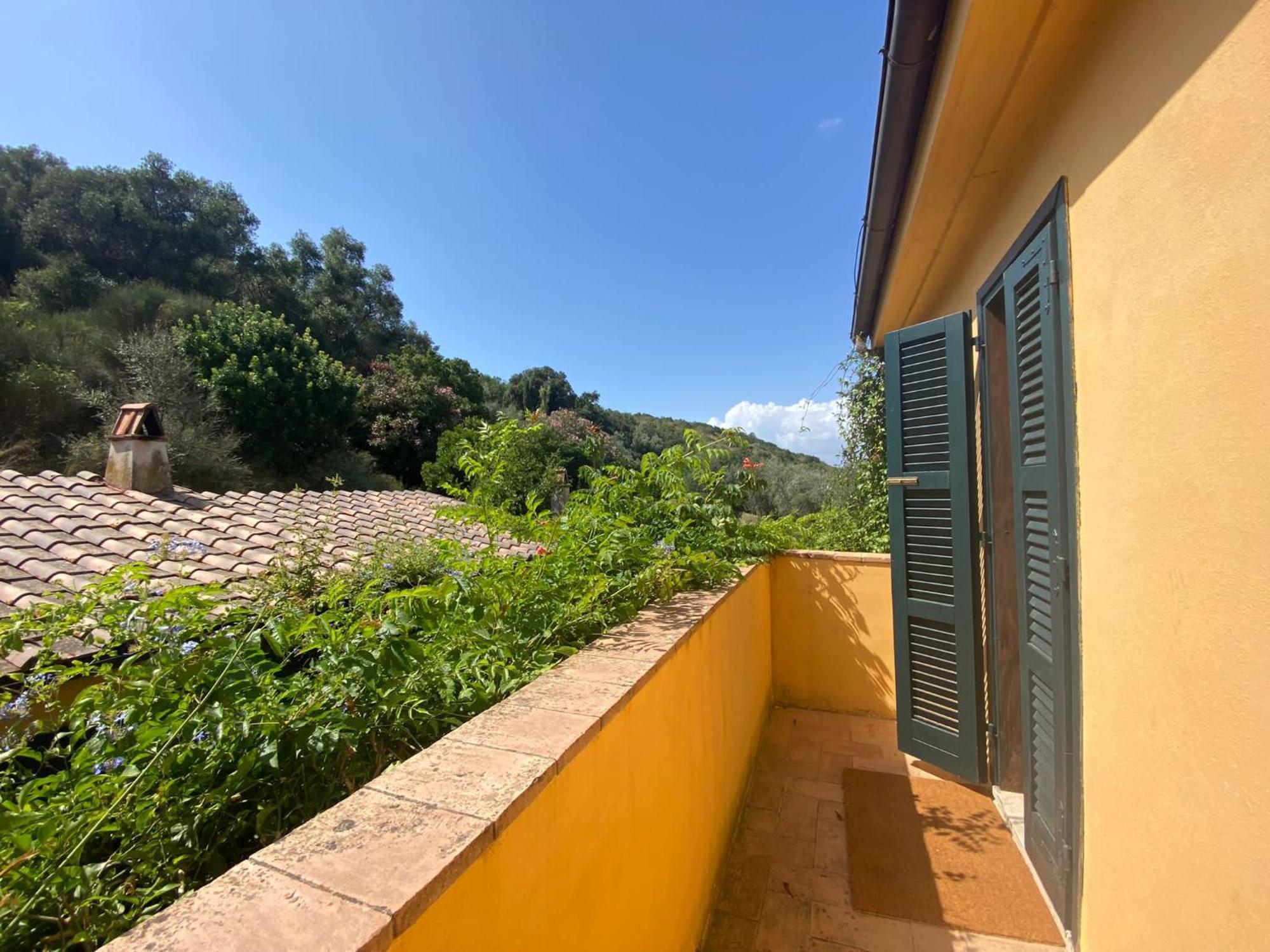 Ferienwohnung Il Fontino Capalbio Pescia Fiorentina Exterior foto