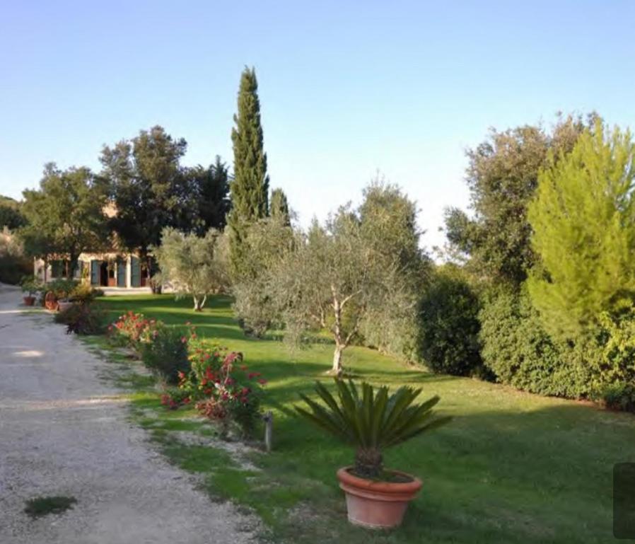 Ferienwohnung Il Fontino Capalbio Pescia Fiorentina Exterior foto